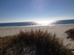 ocracoke sparkle