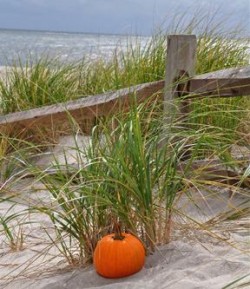 thanksgiving beach pumpkin