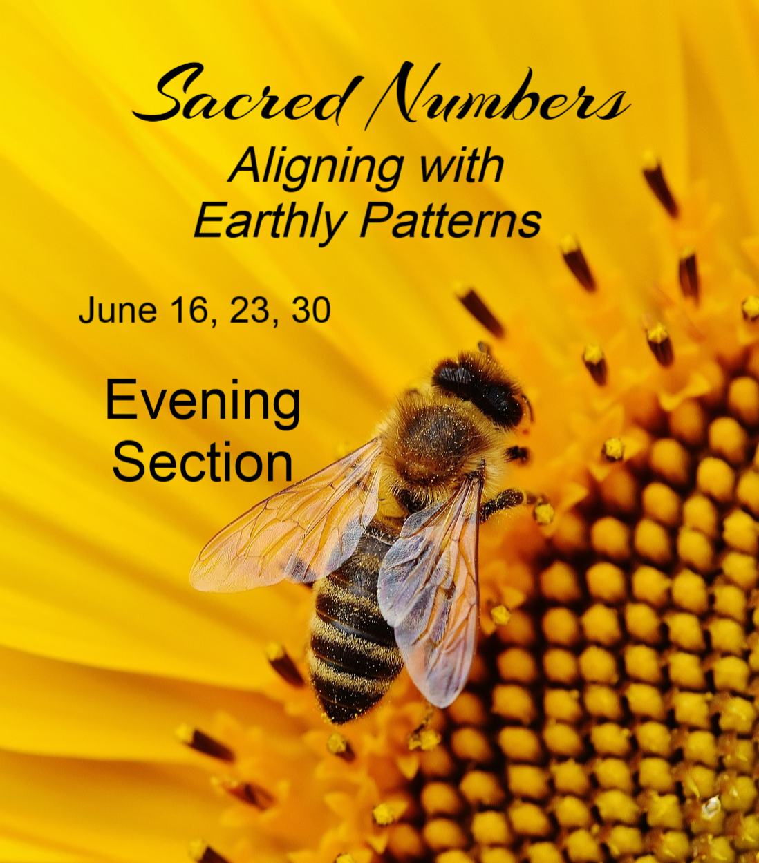 Sacred Numbers: Aligning To Earthly Patterns Evening Section