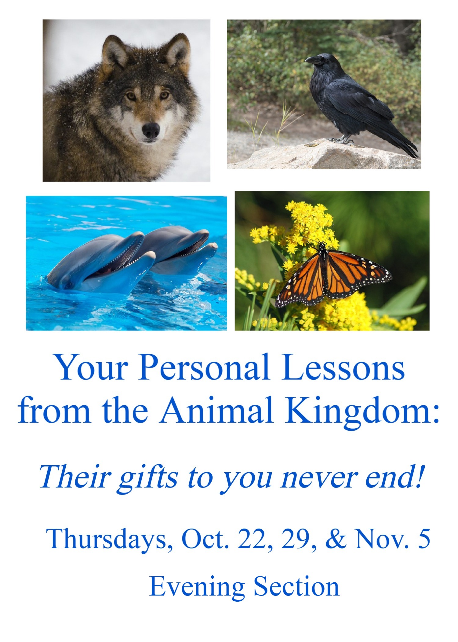 Personal Lessons from the Animal Kingdom: Evenings